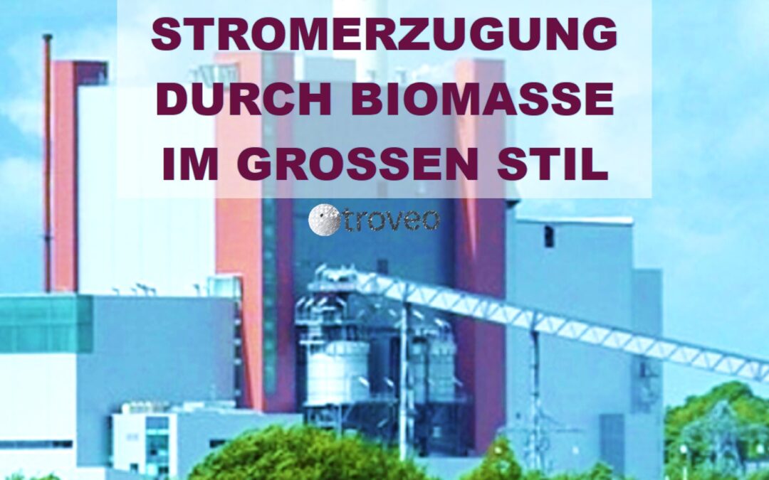 Top-Angebot September 2020:  Zwei komplette, 15 Jahre alte 50 Hz – Biomassekraftwerke der 100 MW Klasse stehen ab Anfang 2021 bereit zur Demontage